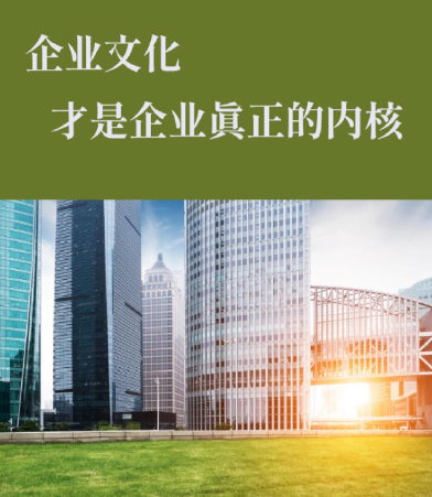 成都软视通科技解读：视频监控可视化平台与安防管理软件技术架构解析